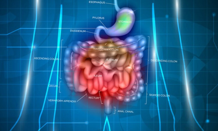kvantiki vioanadrasi kai sindromo everethistou enterou