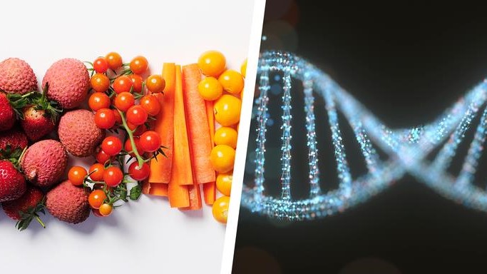 quantum-biofeedback-food-disorders