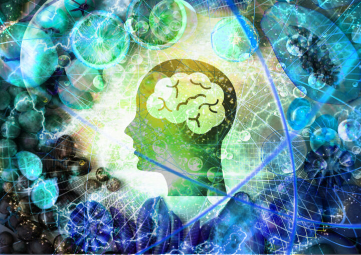 Κβαντική Βιοανάδραση και Διατροφή