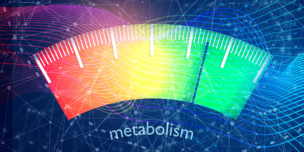 Quantum Biofeedback and Metabolism